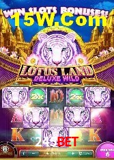 Recursos de Bônus 245Bet